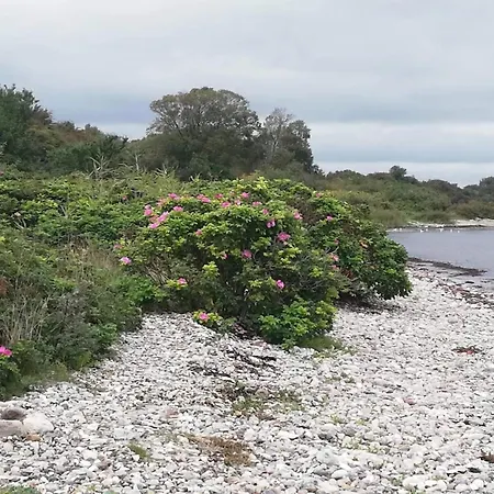 5 Star In Haderslev-by Traum Haderslev